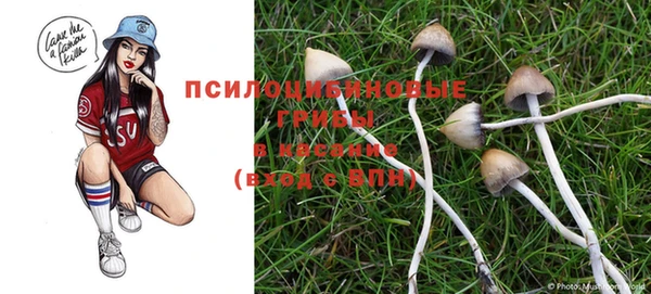 амф Инта