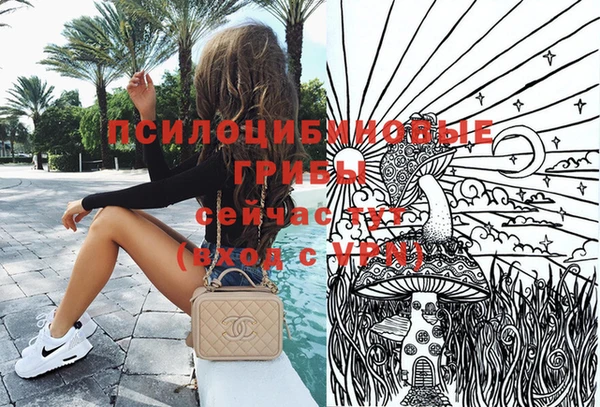 амф Инта