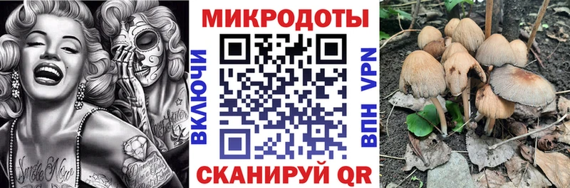 Псилоцибиновые грибы Psilocybe  Купить закладки  Полевской 